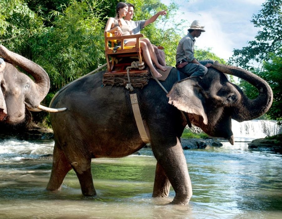 Animal-Encounter-Show-4