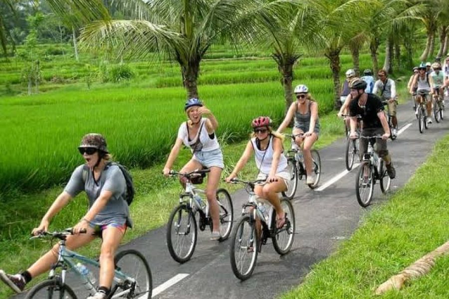 Bali Cycling Tour 4