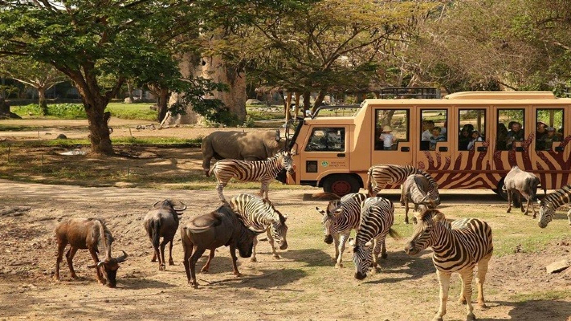 Bali-Safari-Park