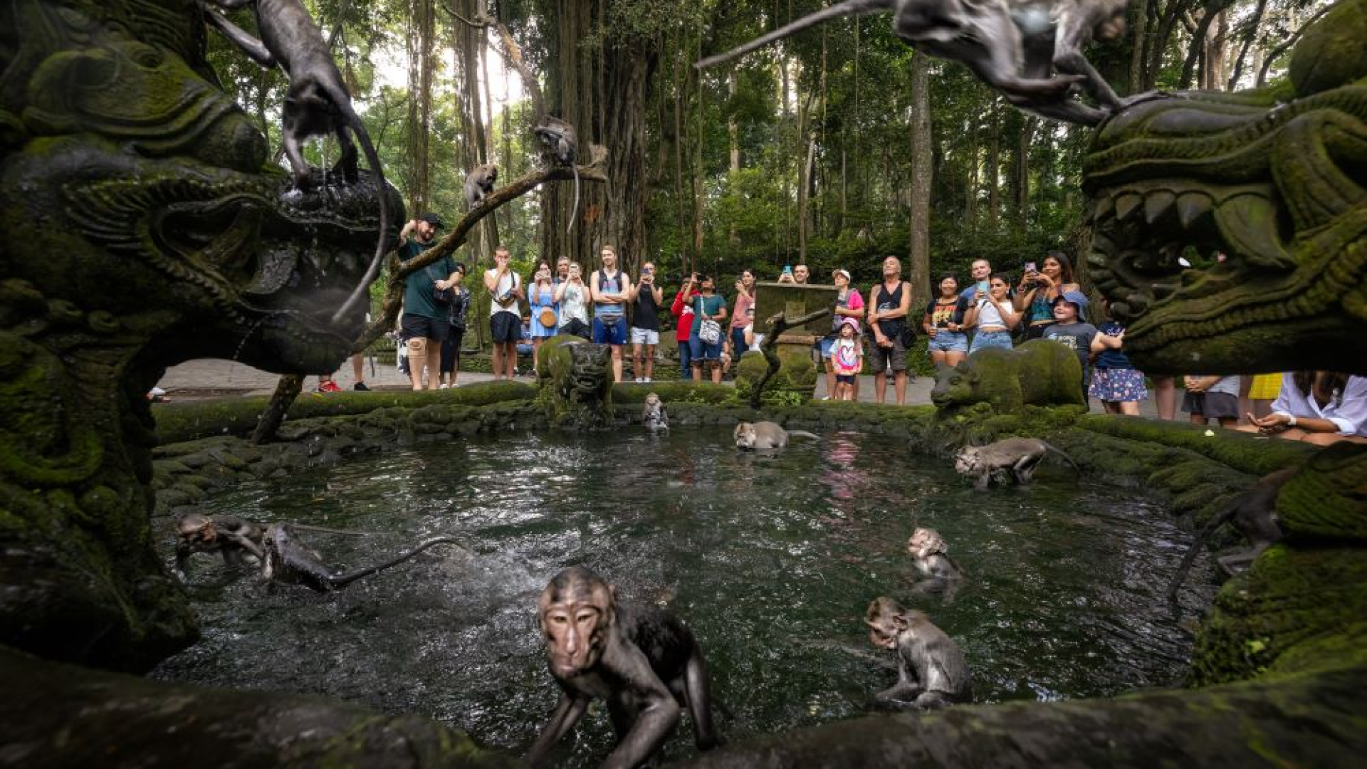 Monkey-Forest-Ubud-Gianyar