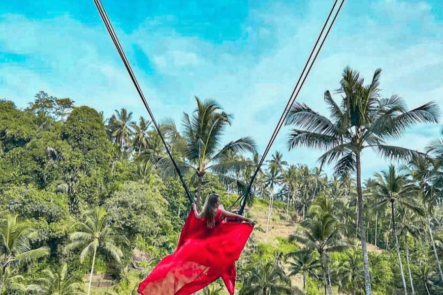 Ubud Swing