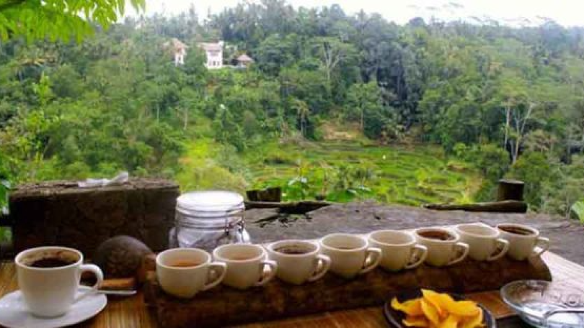 coffee-plantation-tour-ubud-600x