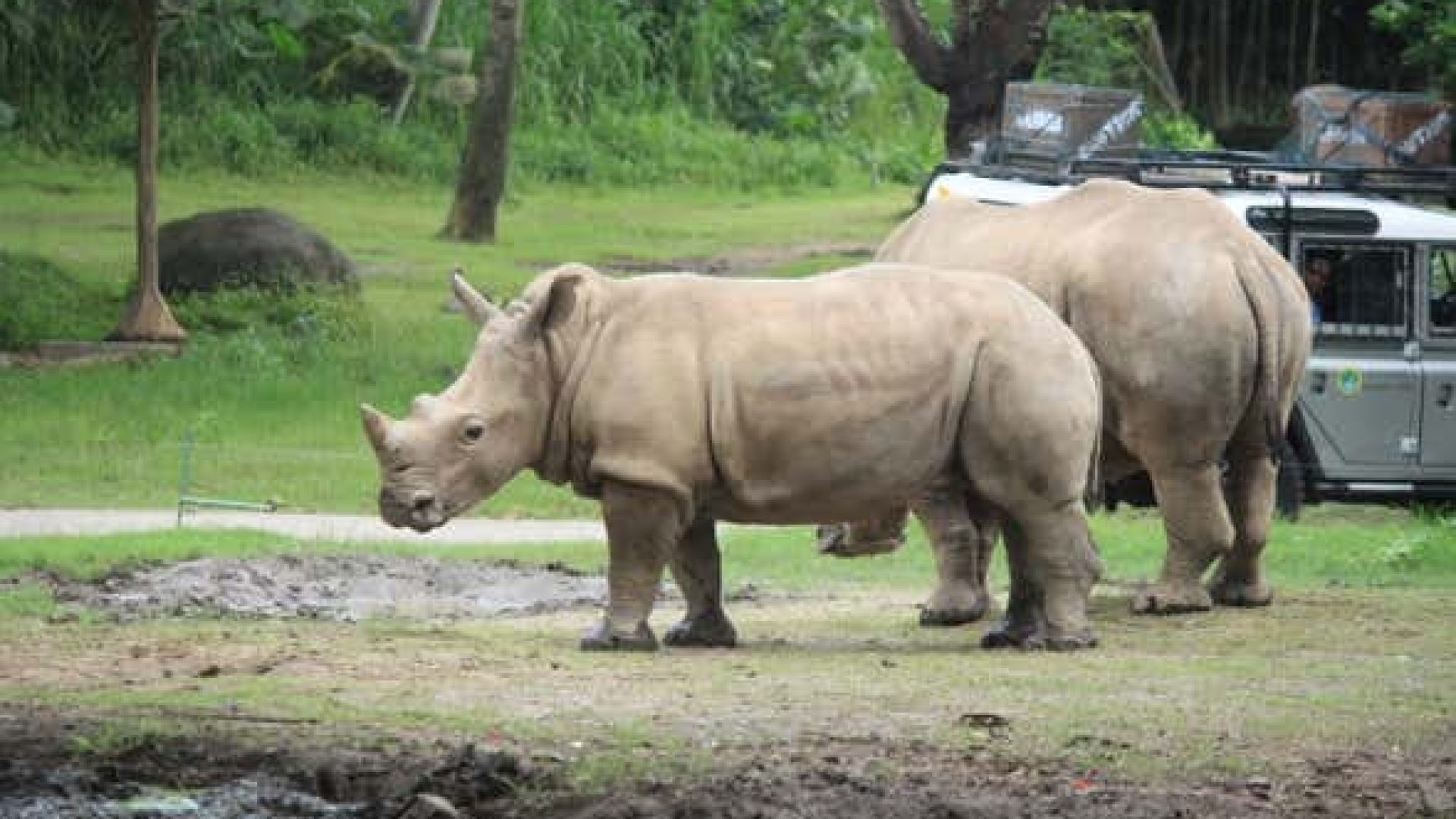entrada-safari-marine-park-589x3